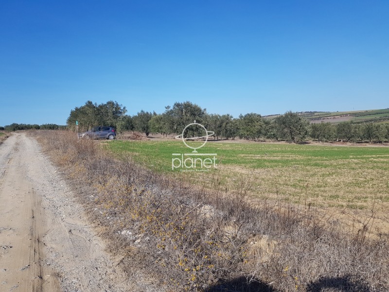 Αγροτεμάχια 5.525 τ.μ. πρός πώληση, Θεσσαλονίκη - Περιφ/Κοί Δήμοι, Επανομή