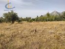 Οικόπεδο 5.000τ.μ. για πώληση-Αμάρυνθος » Γυμνό