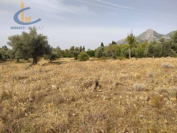 Οικόπεδο 5.000 τ.μ. για πώληση, Εύβοια, Αμάρυνθος