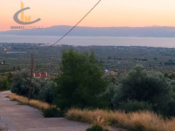Land plot 4.000 sqm for sale, Evia, Amarinthos