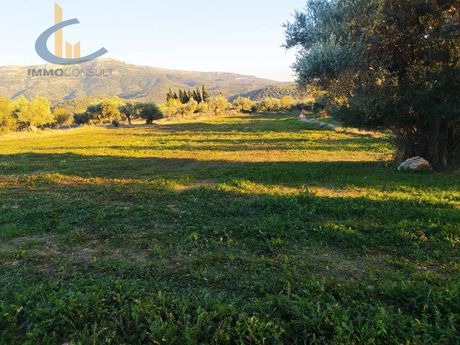 Οικόπεδο 4.000τ.μ. για πώληση-Αμάρυνθος » Γυμνό