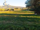 Οικόπεδο 4.000τ.μ. για πώληση-Αμάρυνθος » Γυμνό