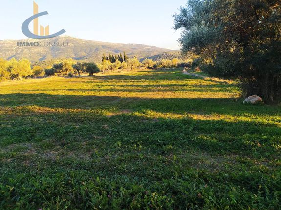 Land plot 4.000 sqm for sale, Evia, Amarinthos