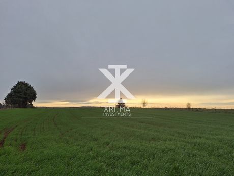 Αγροτεμάχια 8.000τ.μ. για πώληση-Θερμαϊκός » Περαία