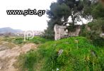 Μονοκατοικία 30τ.μ. για πώληση-Κρανίδι » Κάμπος