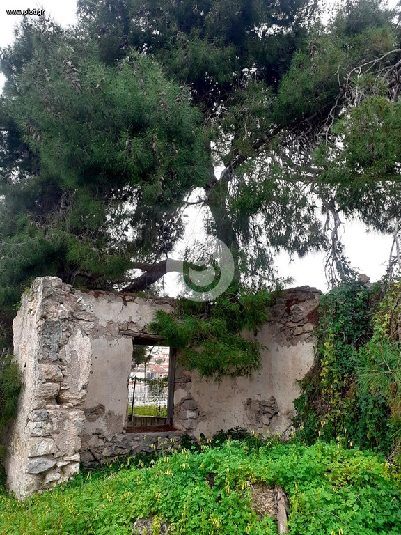 Μονοκατοικία 30 τ.μ. για πώληση, Αργολίδα, Κρανίδι