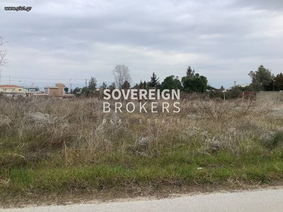 Αγροτεμάχια 2.900 τ.μ. για πώληση, Θεσσαλονίκη - Περιφ/Κοί Δήμοι, Θερμαϊκός