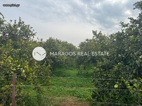 Αγροτεμάχια 7.500τ.μ. για πώληση-Νέα κίος
