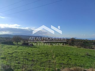 Οικόπεδο 91.554 τ.μ. για πώληση, Ν. Ρεθύμνου, Ρέθυμνο-thumb-4