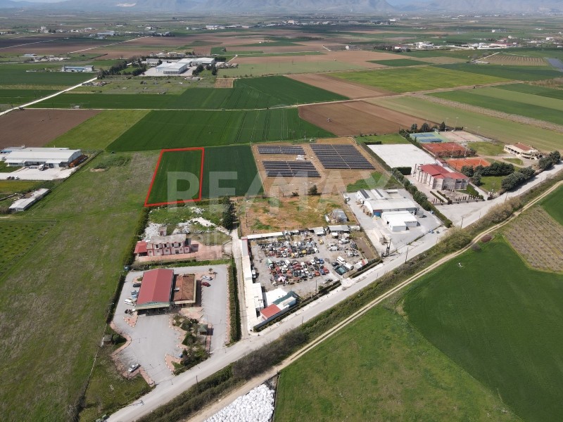 Αγροτεμάχια 4.500 τ.μ. προς πώληση, Δασοχώρι Γιαννούλης