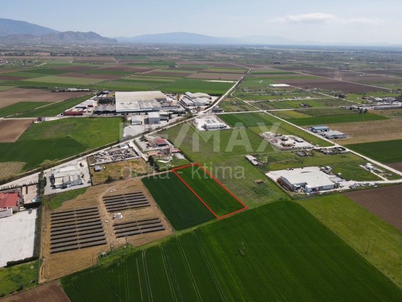 Αγροτεμάχια 4.500 τ.μ. προς πώληση, Δασοχώρι Γιαννούλης