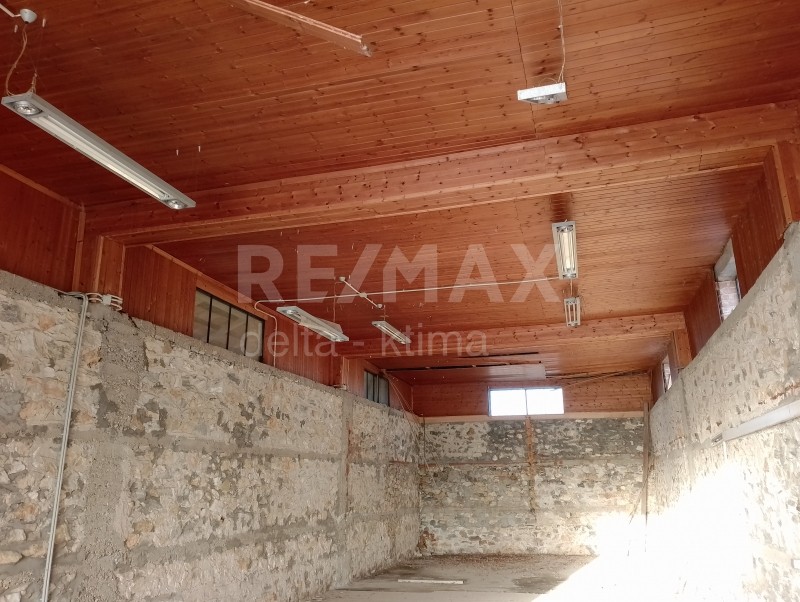 Αποθήκη 279 τ.μ. πρός ενοικίαση, Ν. Λάρισας, Πλατύκαμπος