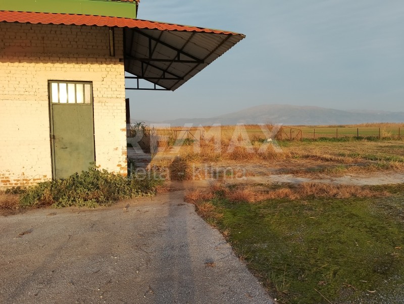 Αποθήκη 279 τ.μ. πρός ενοικίαση, Ν. Λάρισας, Πλατύκαμπος