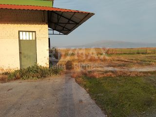 Αποθήκη 279 τ.μ. πρός ενοικίαση, Ν. Λάρισας, Πλατύκαμπος-thumb-2