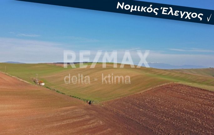 Parcel 54.000 sqm for sale, Larissa Prefecture, Krannonas