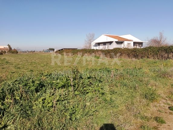 Land plot 1.990 sqm for sale, Larissa Prefecture, Platikampos