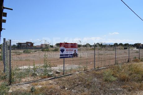 Land plot 1.000sqm for rent-Platikampos » Center