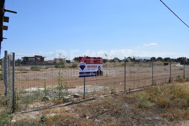 Land plot 1.000 sqm for rent, Larissa Prefecture, Platikampos