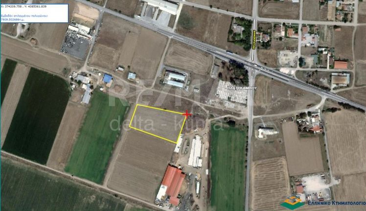 Parcel 7.910 sqm for sale, Larissa Prefecture, Platikampos