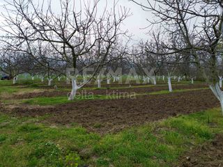 Αγροτεμάχια 10.000 τ.μ. για πώληση, Ν. Λάρισας, Κάτω Όλυμπος-thumb-1