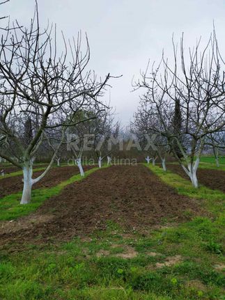 Parcel 10 sqm for sale, Larissa Prefecture, Kato Olimpos