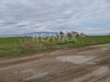 Land plot 4.000sqm for sale-Platikampos » Chalki