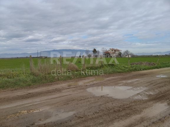 Land plot 4.000 sqm for sale, Larissa Prefecture, Platikampos