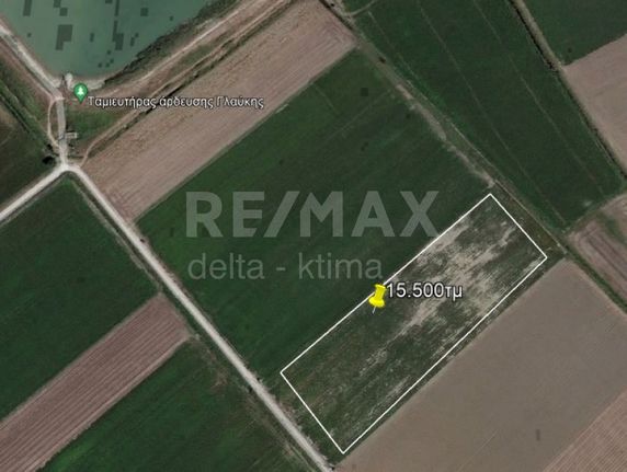 Parcel 15.500 sqm for sale, Larissa Prefecture, Platikampos