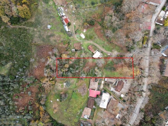 Land plot 3.147 sqm for sale, Larissa Prefecture, Evrimeno