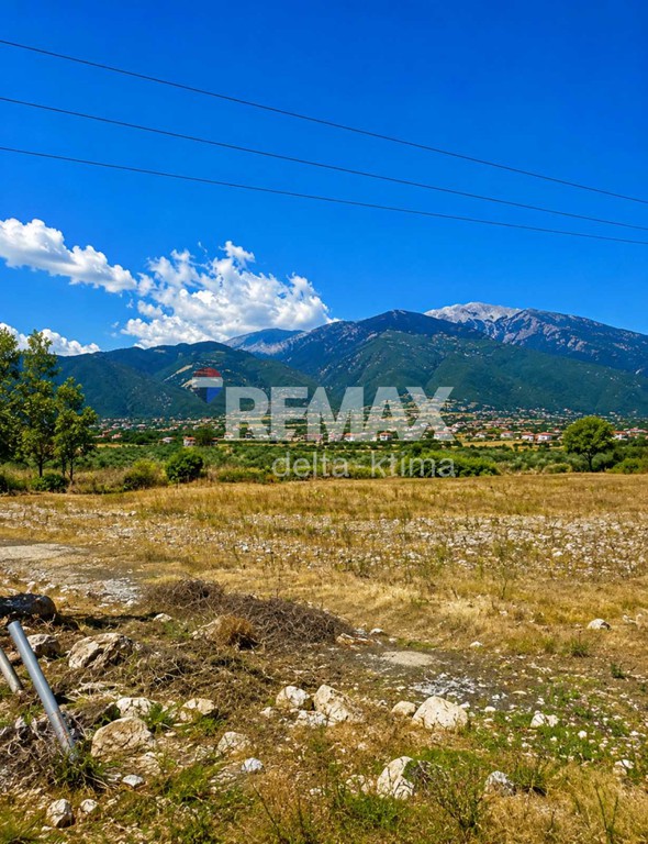 Αγροτεμάχια 6.150 τ.μ. προς πώληση, Λεπτοκαρυά Ανατολικού Ολύμπου