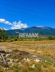 Αγροτεμάχια 6.150 τ.μ. για πώληση