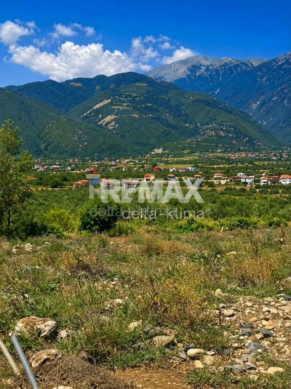 Αγροτεμάχια 6.150 τ.μ. προς πώληση, Λεπτοκαρυά Ανατολικού Ολύμπου