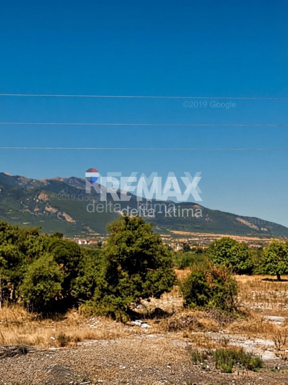 Αγροτεμάχια 6.150 τ.μ. προς πώληση, Λεπτοκαρυά Ανατολικού Ολύμπου