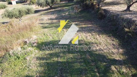 Αγροτεμάχια 6.000 τ.μ. για πώληση