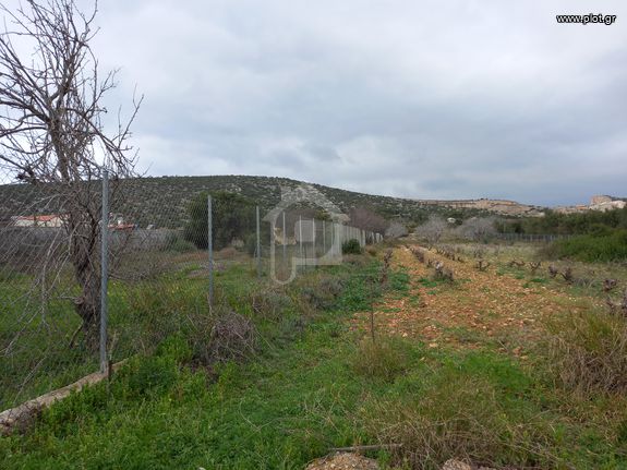 Αγροτεμάχια 1.800 τ.μ. για ενοικίαση, Αθήνα - Ανατολικά Προάστια, Κορωπί