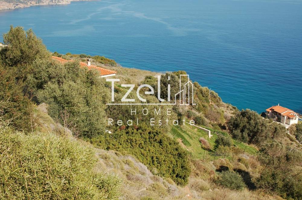 Οικόπεδο 3.030 τ.μ. προς πώληση, Κορασίδα