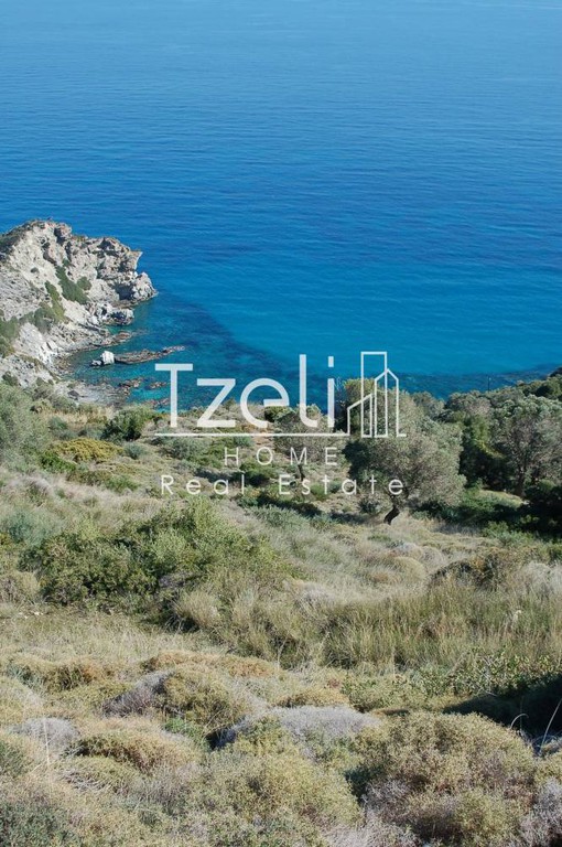 Οικόπεδο 3.030 τ.μ. προς πώληση, Κορασίδα