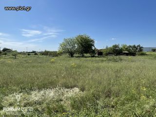 Αγροτεμάχια 35.000 τ.μ. για πώληση