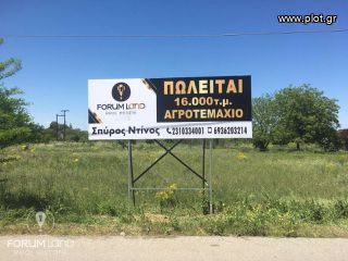 Αγροτεμάχια 16.000 τ.μ. για πώληση
