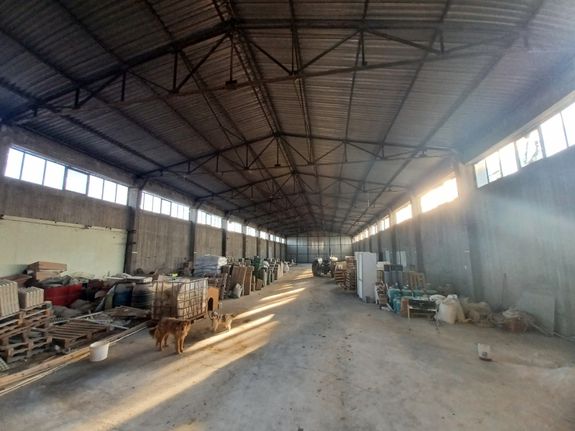 Αποθήκη 750 τ.μ. για ενοικίαση, Θεσσαλονίκη - Περιφ/Κοί Δήμοι, Εχέδωρος
