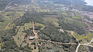 Αγροτεμάχια 9.000 τ.μ. πρός πώληση, Μεσσηνία, Πύλος-thumb-14
