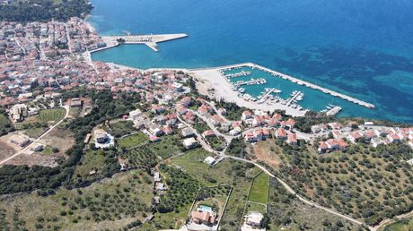 Αγροτεμάχια 9.000 τ.μ. για πώληση