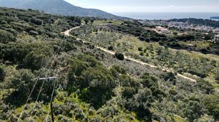 Αγροτεμάχια 9.000 τ.μ. πρός πώληση, Μεσσηνία, Πύλος-thumb-11