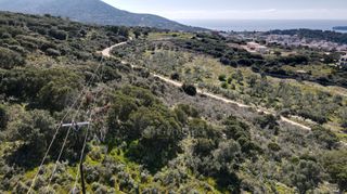 Αγροτεμάχια 9.000 τ.μ. πρός πώληση, Μεσσηνία, Πύλος-thumb-15
