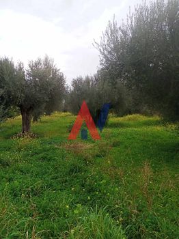 Οικόπεδο 1.650 τ.μ. για πώληση