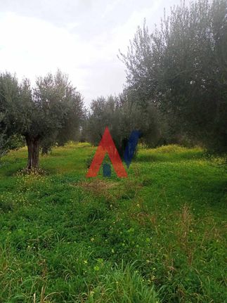 Οικόπεδο 1.650 τ.μ. για πώληση, Αχαΐα, Αιγιάλεια