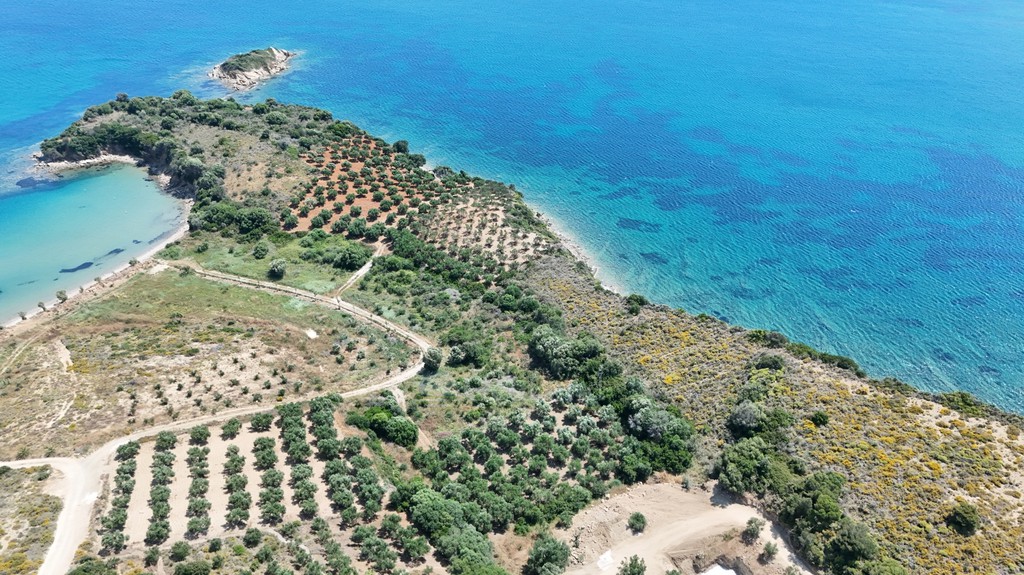 Αγροτεμάχια 30.000 τ.μ. πρός πώληση, Μεσσηνία, Μεθώνη