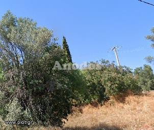 Οικόπεδο 4.596 τ.μ. προς πώληση, Ανάβρυτα Αμαρουσίου