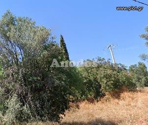 Οικόπεδο 4.596 τ.μ. προς πώληση, Ανάβρυτα Αμαρουσίου