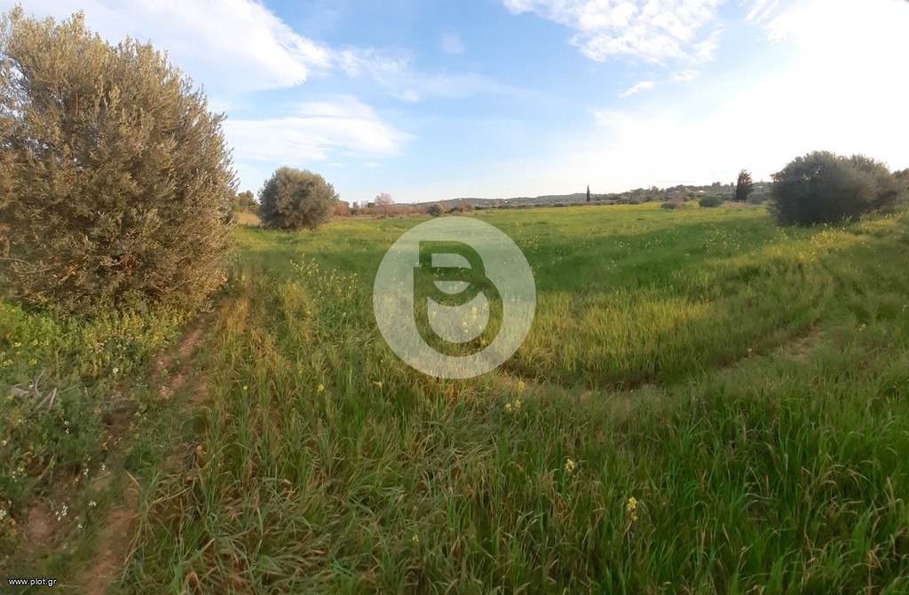 Οικόπεδο 5.700 τ.μ. πρός πώληση, Αργολίδα, Κρανίδι